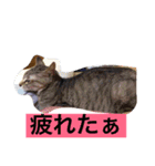 自分が使いたいスタンプ作りました（個別スタンプ：2）
