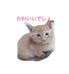 自分が使いたいスタンプ作りました（個別スタンプ：3）