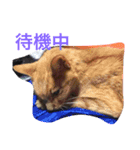 自分が使いたいスタンプ作りました（個別スタンプ：4）
