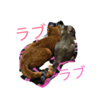 自分が使いたいスタンプ作りました（個別スタンプ：5）