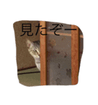 自分が使いたいスタンプ作りました（個別スタンプ：8）