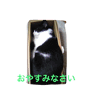 自分が使いたいスタンプ作りました（個別スタンプ：10）