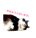 もふ！おはぎちゃん（個別スタンプ：2）