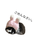 もふ！おはぎちゃん（個別スタンプ：5）