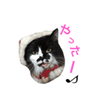 もふ！おはぎちゃん（個別スタンプ：12）