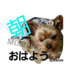 ごえもん君2（個別スタンプ：1）