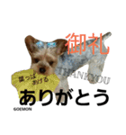 ごえもん君2（個別スタンプ：7）