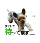 ごえもん君2（個別スタンプ：13）
