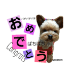ごえもん君2（個別スタンプ：17）
