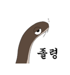 In Summer, Eel（個別スタンプ：18）