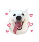 Udon the Wicked Dog 2（個別スタンプ：1）