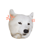 Udon the Wicked Dog 2（個別スタンプ：3）