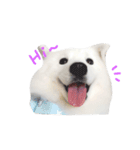 Udon the Wicked Dog 2（個別スタンプ：4）