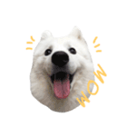 Udon the Wicked Dog 2（個別スタンプ：18）