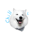 Udon the Wicked Dog 2（個別スタンプ：21）