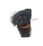 白と黒の犬(リッチおもちぃ)（個別スタンプ：7）
