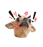 Babe The Good Dog（個別スタンプ：9）