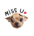 Babe The Good Dog（個別スタンプ：14）