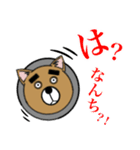 北九州DOKAN犬（個別スタンプ：6）