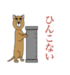 北九州DOKAN犬（個別スタンプ：15）