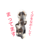 キャバリア sticker（個別スタンプ：5）