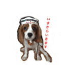 キャバリア sticker（個別スタンプ：9）