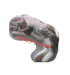 愉快な動物達(関西ver.)（個別スタンプ：5）