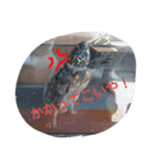 愉快な動物達(関西ver.)（個別スタンプ：7）
