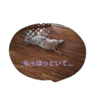 愉快な動物達(関西ver.)（個別スタンプ：11）