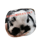 愉快な動物達(関西ver.)（個別スタンプ：12）