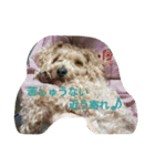 愉快な動物達(関西ver.)（個別スタンプ：14）