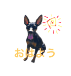 ミニピンのヴヴとイタグレのアル(´ω｀)（個別スタンプ：2）