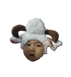 I'm PANISARA（個別スタンプ：3）