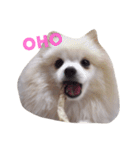 RiNa RiNa（個別スタンプ：1）