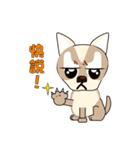 Bow Bow dog（個別スタンプ：2）