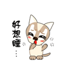 Bow Bow dog（個別スタンプ：8）