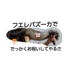 フェレットとチワワの日常のぼやき（個別スタンプ：16）