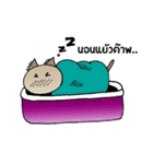 cat no mouth 1（個別スタンプ：11）