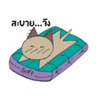 cat no mouth 1（個別スタンプ：32）