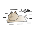 cat no mouth 1（個別スタンプ：35）