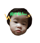 ぴっぴの会話スタンプ（個別スタンプ：5）