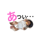 まりえまのスタンプ（個別スタンプ：11）