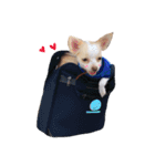 De's story（個別スタンプ：7）