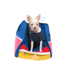 De's story（個別スタンプ：11）