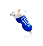De's story（個別スタンプ：13）