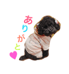 魁宝くんだよ☀︎ part4（個別スタンプ：33）