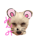 meme01（個別スタンプ：2）