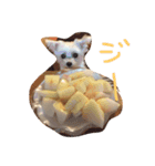 meme01（個別スタンプ：6）
