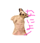 meme01（個別スタンプ：8）