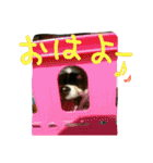 キキ☆ララ☆もも（個別スタンプ：3）